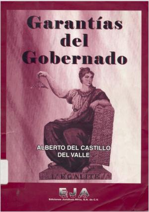 Garantias del Gobernado. Mexico. Alberto del Castillo Del Valle